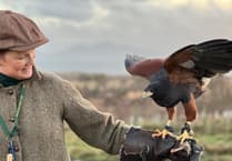 Stars continue to shine for Tintern heritage project.