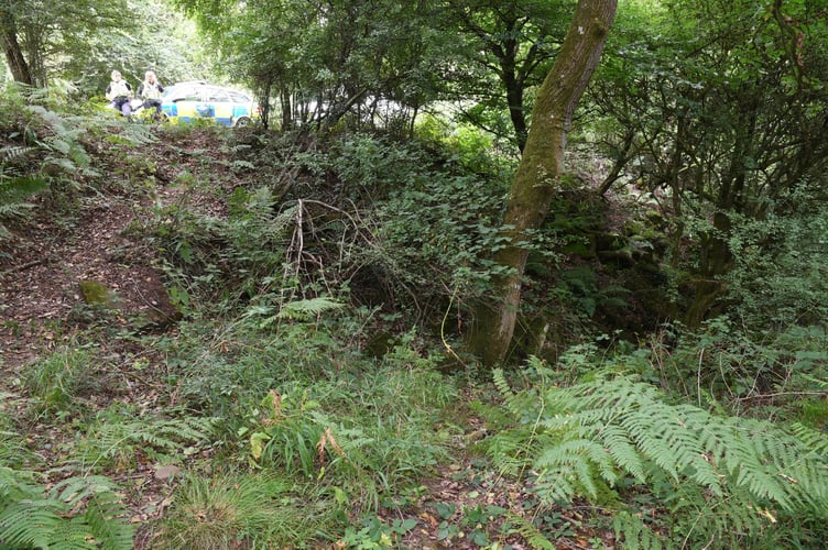 The woodland hole the man was forced into, restrained and wrapped in a 'body bag'