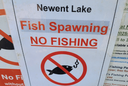 Fishing has been temporarily suspended at Newent Lake to protect fish during spawning season.