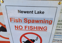 Fishing banned at Newent Lake to protect wildlife