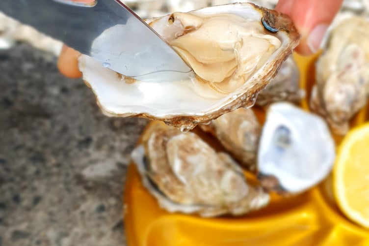 ©SMBMSM - Dégustation au Marché aux Huîtres - Port de la Houle - Cancale