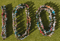 Osbaston School celebrates Sir David Attenborough's 100th birthday