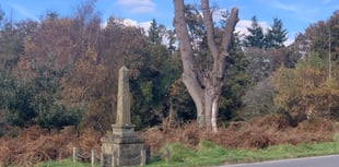 40mph limit call to stop 'bloody carnage' on Forest roads