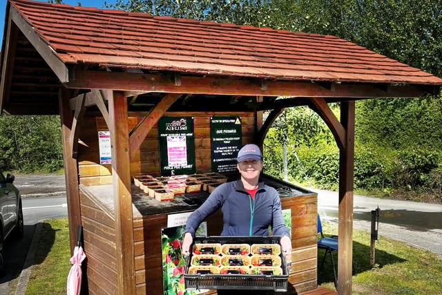 Windmill Hill Fruits opens drive-thru for fresh British fruit