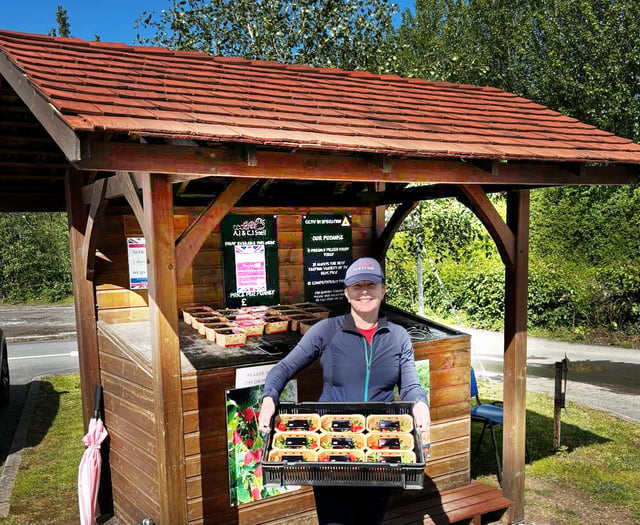 Windmill Hill Fruits opens drive-thru for fresh British fruit
