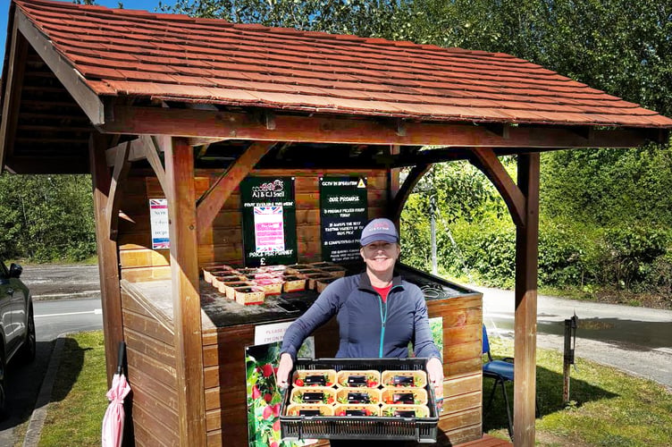 Fruit drive through