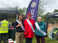 The importance of the FODDAA's memory walk
