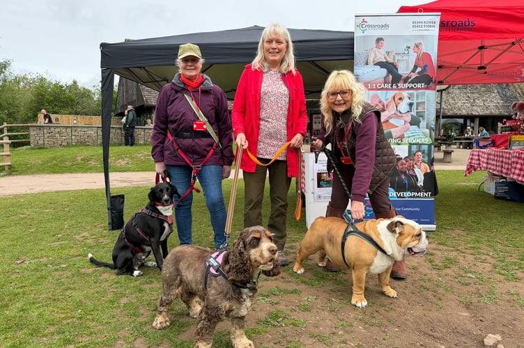 Pet Therapy dogs FODDA