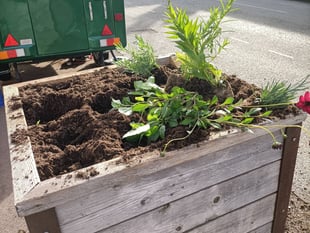'Mindless act' as vandals target planters