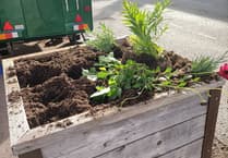 'Mindless act' as vandals target planters