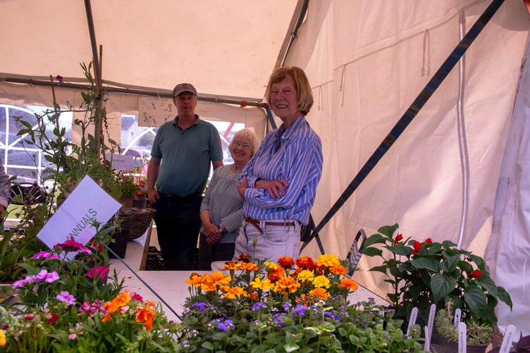 Piers Chivers, Glenys Monaghan and Sue Davies on the St Briavels Moat Society stall.