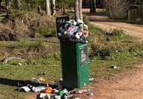 Forestry England reminds on proper bin use