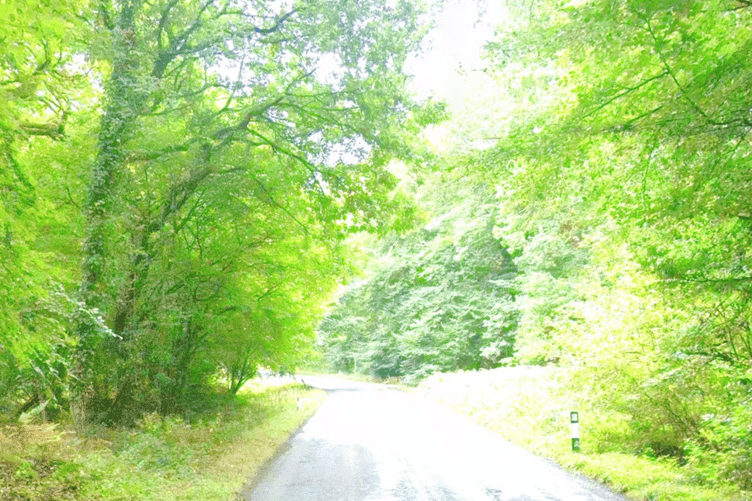 Hawthorns Rd, Drybrook