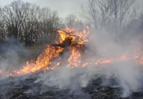 Forestry England urges public to prevent wildfires