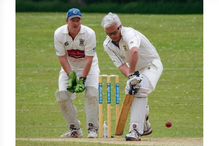 The Lions won against Witcombe. File photo: Newent CC