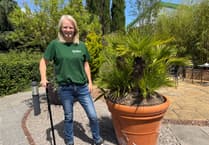 Marie takes on 50-mile fundraiser for Chepstow Foodbank