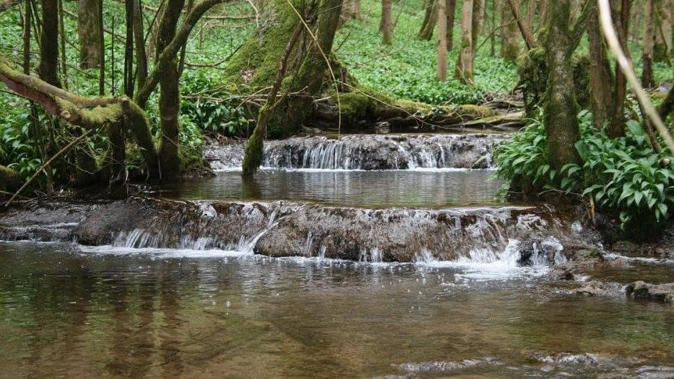 Newland Parish Council hosts community event for River Wye support