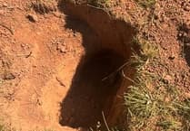 Police investigate alleged badger baiting incident in Tidenham