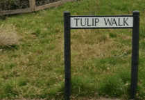 Lydney woman admits assault but denies racial motivation