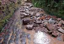Wildlife project at Cinderford Brook nears completion
