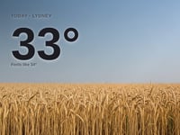 Lydney: sunny day, high of 33°C