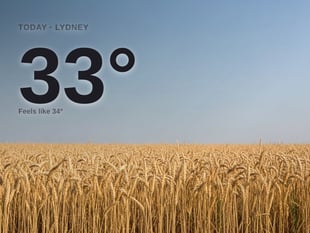 Lydney: sunny day, high of 33°C
